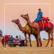 Dubai Desert safari